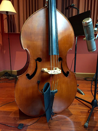 installation position of MSP pickup mic for double bass